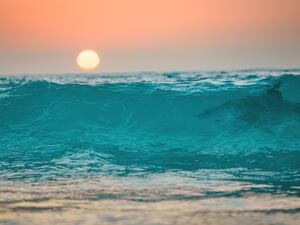 Man hospitalized with shark bite in Hawaii