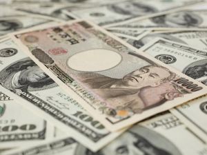 Dollar hovers near two-month high as investors seek safe haven