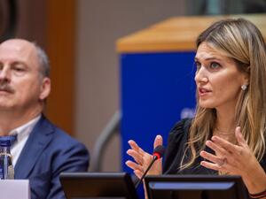 Unpacking A European Parliament Scandal: A Belgian Judge Charade?