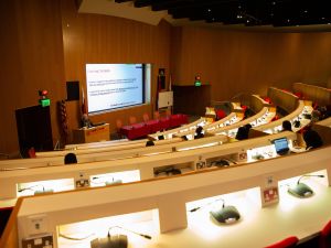 WCM-Q workshop discusses peripartum disorders   