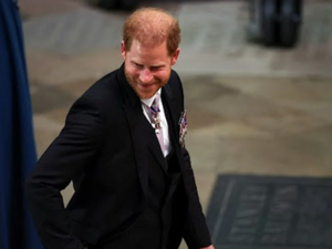 الأمير هاري