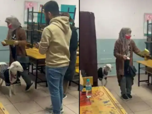 خروف يشارك في الانتخابات الرئاسية التركية