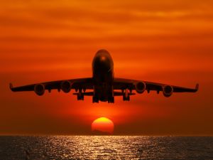 العثور على 4 أطفال أحياء في غابة بعد أسابيع من تحطم الطائرة التي كانوا على متنها