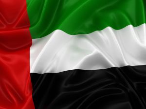 UAE to head UN Security Council in June