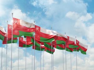 قالت الخارجية العمانية ان مساعيها جاءت امتثالا لاوامر السلطان هيثم بن طارق 