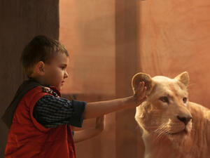 First accident in Gaza, lion bite kills child 