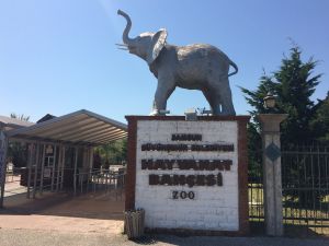 حديقة حيوانات سامسون