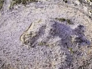 اطول نهار على صعيد عرفات منذ 33 سنة