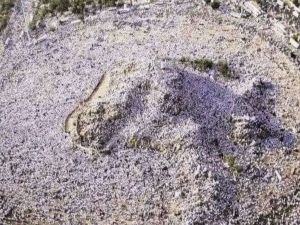 اطول نهار على صعيد عرفات منذ 33 سنة