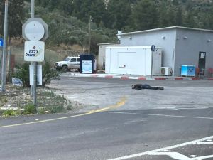 ولقي 4 مستوطنين حتفهما في هجوم مسلح نفذه فلسطينيان ادى الى استشهاد احدهما فيما ارتقى الثاني بعد مطاردة