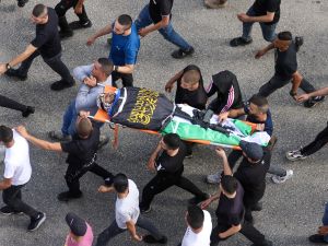 Jenin, Settelments