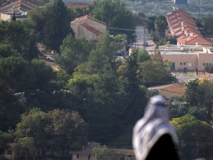 Palestene