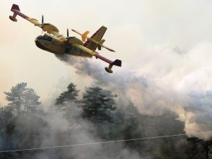 حرائق الغابات في كندا