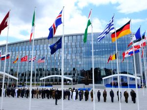 support for the membership of Finland and Sweden in NATO