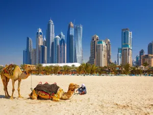الإمارات العربية المتحدة