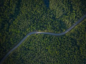 Audi Middle East Drives Sustainable Mobility Through Tree-Nation Initiative 