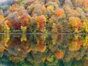 بحيرة حديقة جوكجول اوردو