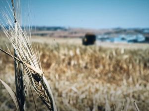 القوات الروسية استخدمت صواريخ كاليبر كروز من البحر الأسود على ارتفاع منخفض 