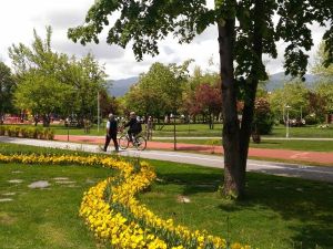 حديقة غابة اتاتورك بولو