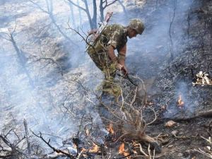 الجيش يشارك في اطفاء الحرائق- الصورة عن تويتر
