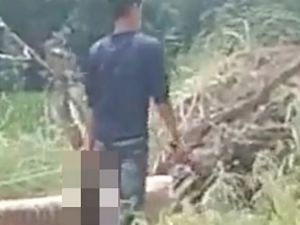 قطع رأس شقيقته بدافع الشرف