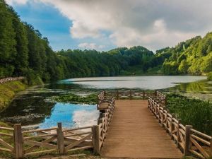 غابة أولوجول أوردو