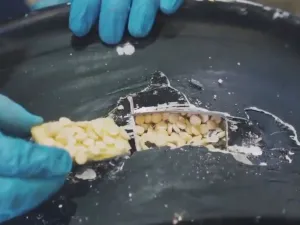 احباط تهريب 3 ملايين حبة كبتاغون