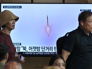 شويغو يزور بيونغ يانغ للمشاركة باحتفالات ذكرى انتهاء الحرب الكورية