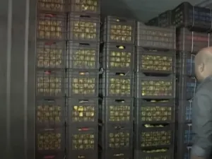مخدرات ايرانية الى السعودية- ارشيف