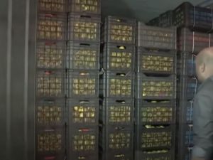 مخدرات ايرانية الى السعودية- ارشيف