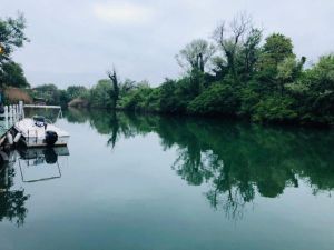 نهر غوسكو في مرسي