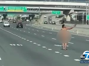 عارية تثير الهلع في أمريكا 