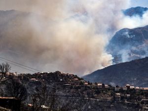 Algeria wildfire