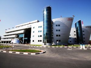 Dubai Customs
