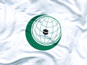 وزراء خارجية دول التعاون الإسلامي سيجتمعون الإثنين المقبل افتراضيا لبحث الإساءة للقرآن