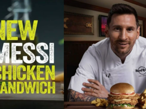 سندويش دجاج ميسي