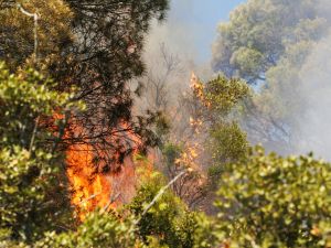wildfire engulfs roads in Italy's Sicily