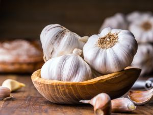 Garlic