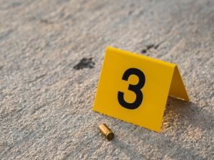 شهدت مصر مذبحة عائلية حيث أقدم عامل خردة في قرية قرب أهرامات الجيزة على ذبح زوجته وبناته الخمسة