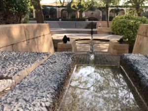 حديقة الخزامى الرياض