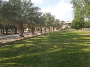 حديقة الروابي الأولى الرياض