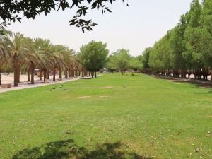 حديقة الروضة الرياض