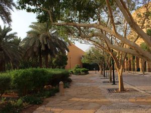 حديقة المتحف الوطني الرياض