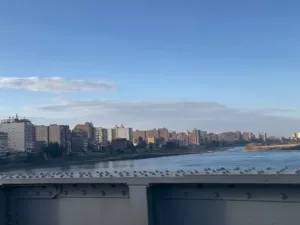 مصر: انتحار ثاني طالبة بالسم خلال 24 ساعة بسبب الثانوية العامة