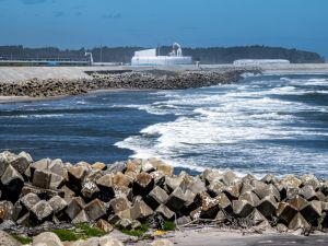 الصين تحظر المأكولات البحرية اليابانية مع بدء تصريف مياه فوكوشيما