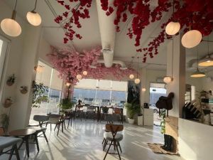 كافيهات جنوب الرياض