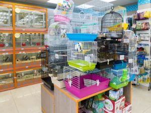 محل حيوانات بالرياض