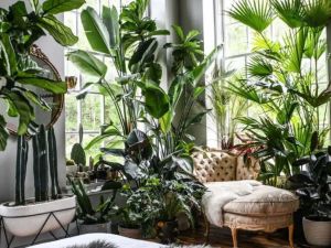 محلات بيع شجر صناعي بالرياض