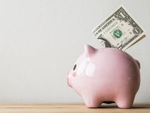 19 No-Cost Business ideas to kickstart your entrepreneurial journey