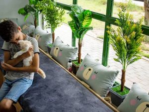 أول مقهى للقطط في غزة 